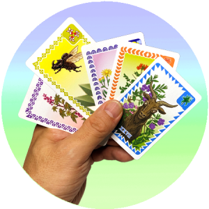 Hanafuda Pilina invasive plants cards